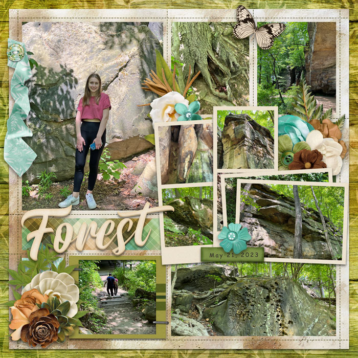 Forest