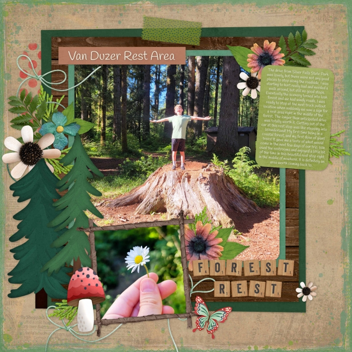 Forest