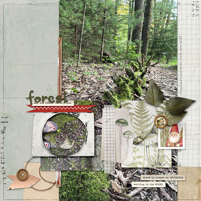 forest