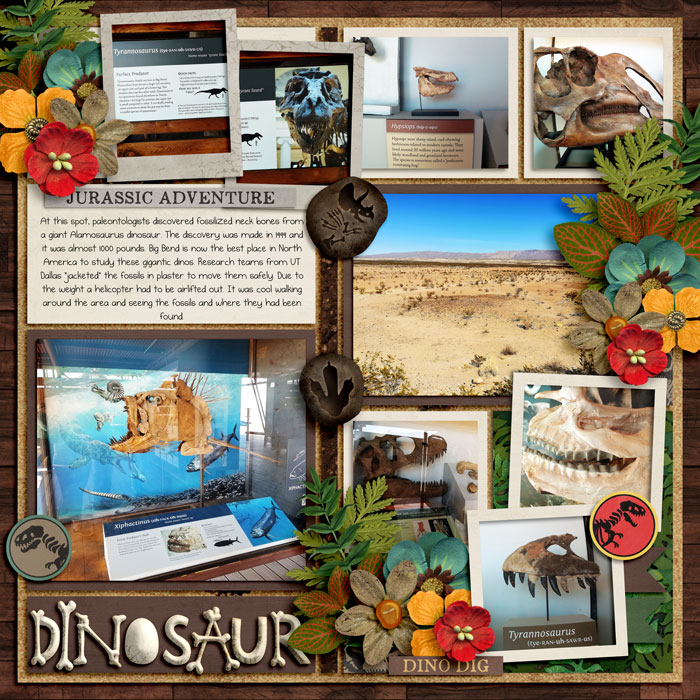 Fossils at Big Bend