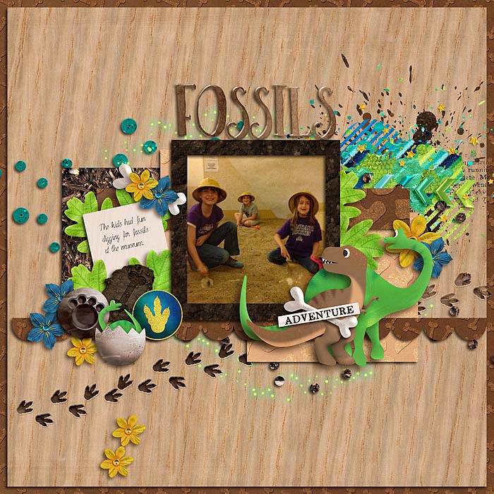 Fossils