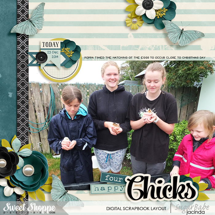 Four happy chicks