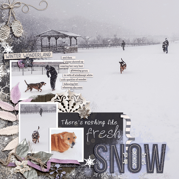 Fresh Snow