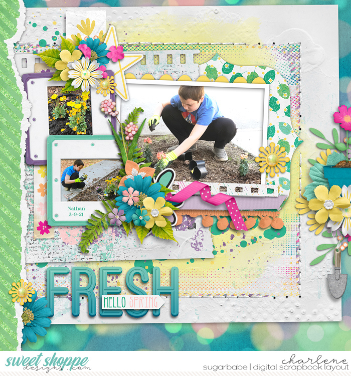 Fresh
