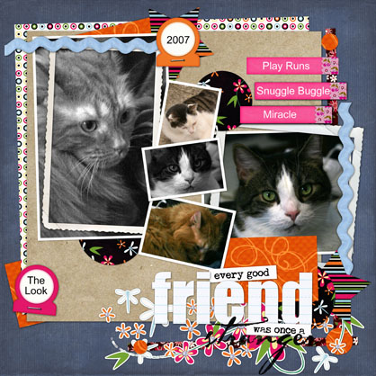 Friends