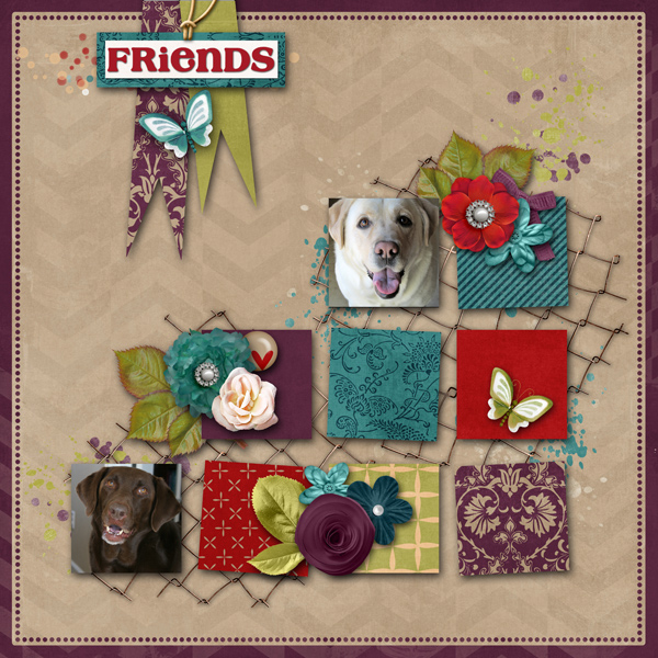 Friends