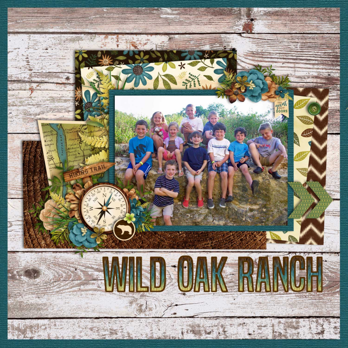 Friendship - Wild Oak Ranch