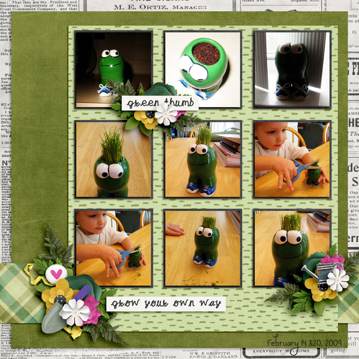 Frog Plant 2009