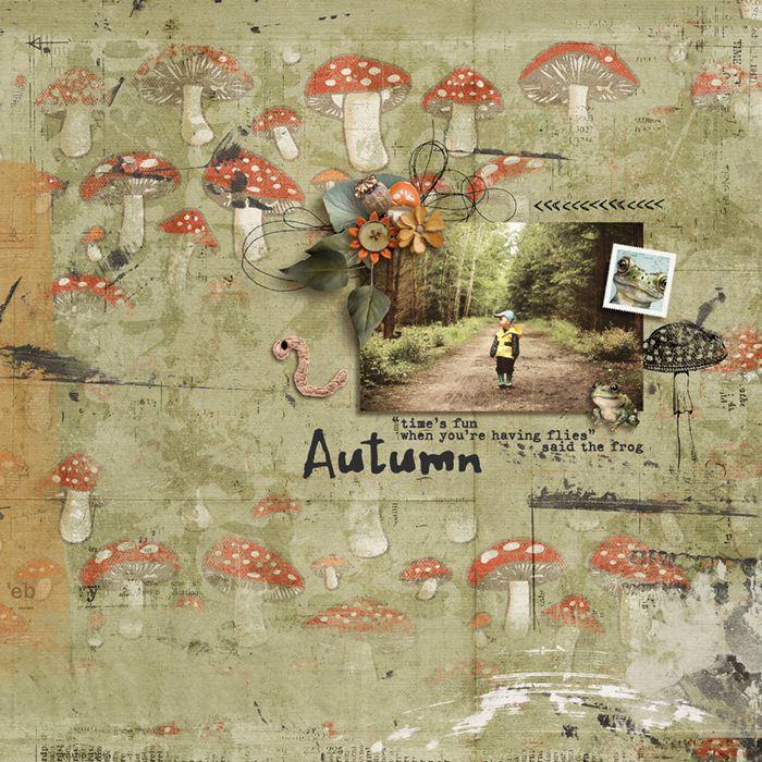 Frogs Fungi Forest