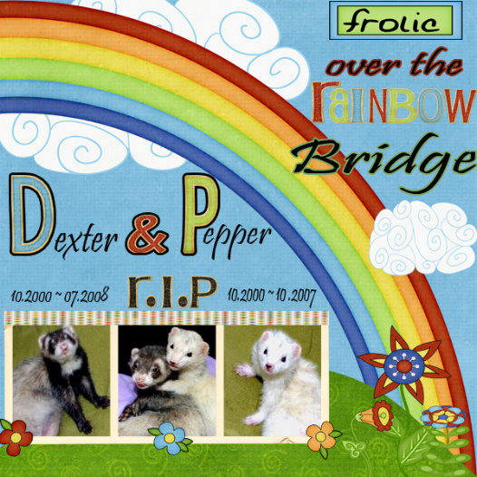Frolic over the Rainbow Bridge