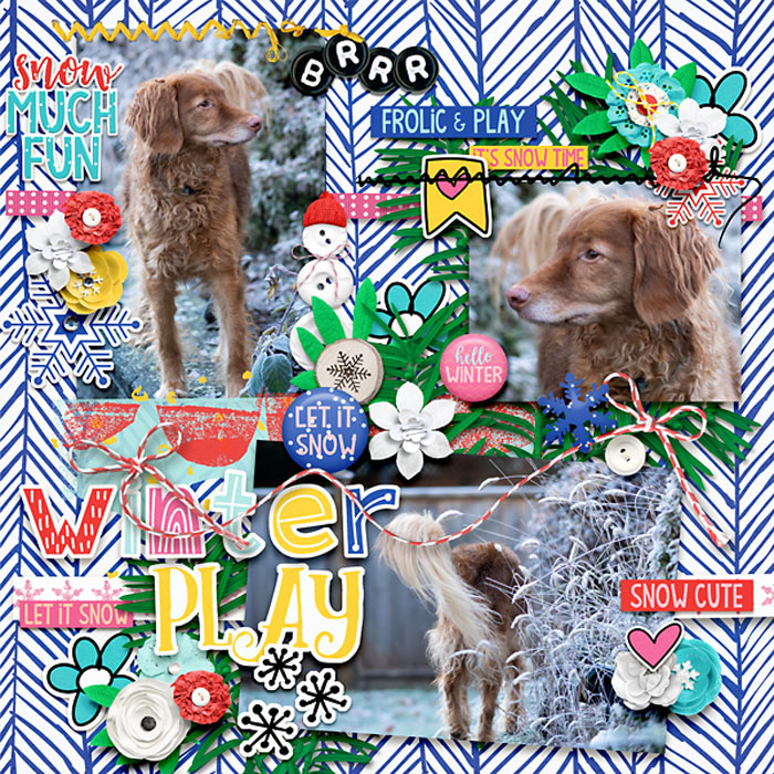 Frolic & Play