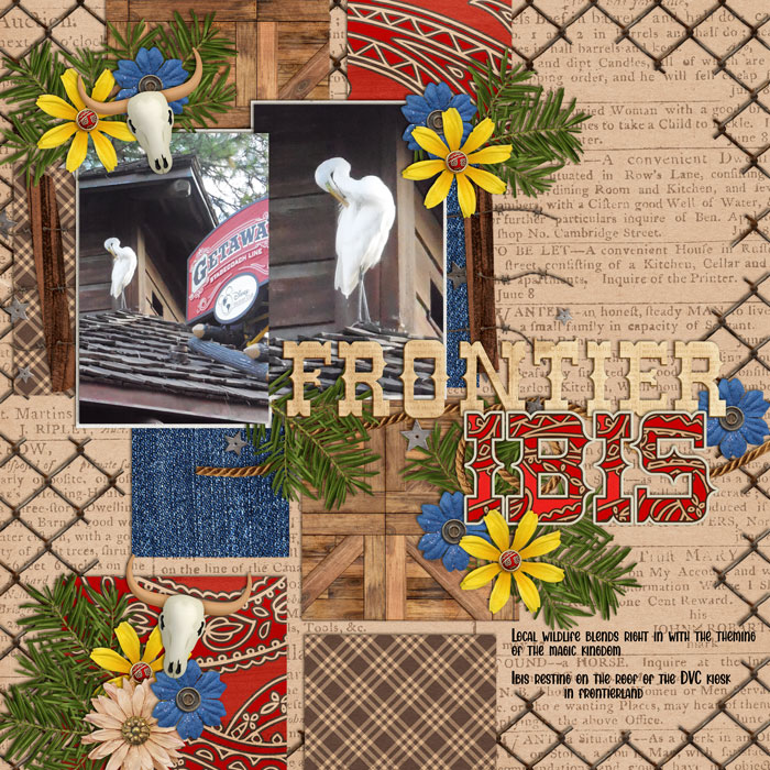 Frontierland Ibis