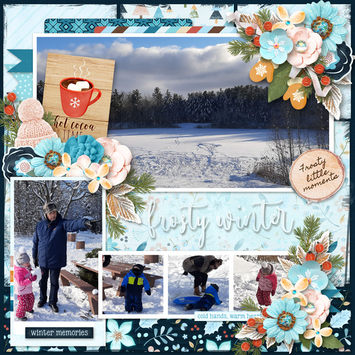 Frosty winter day