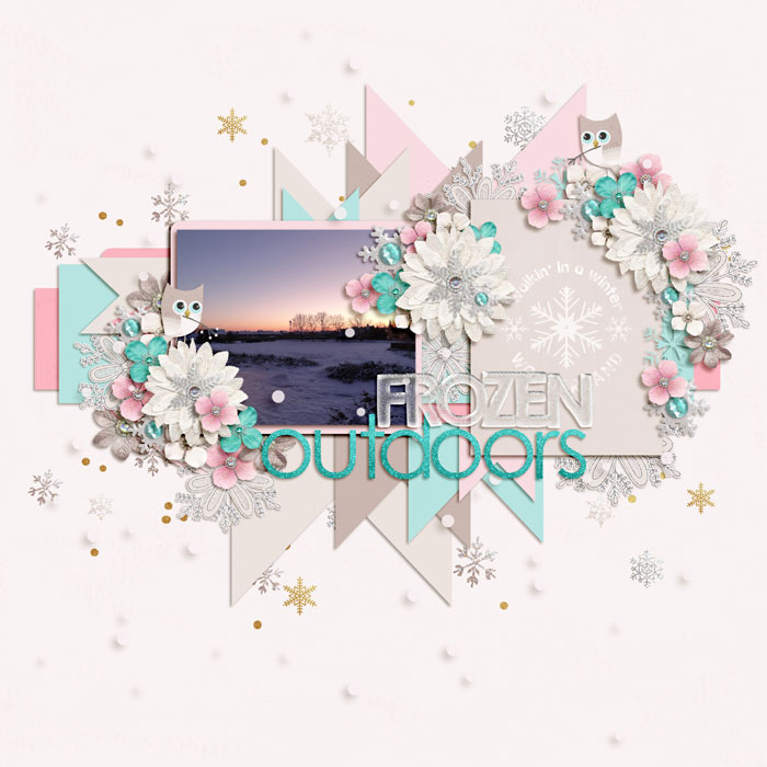Frozen outdoors