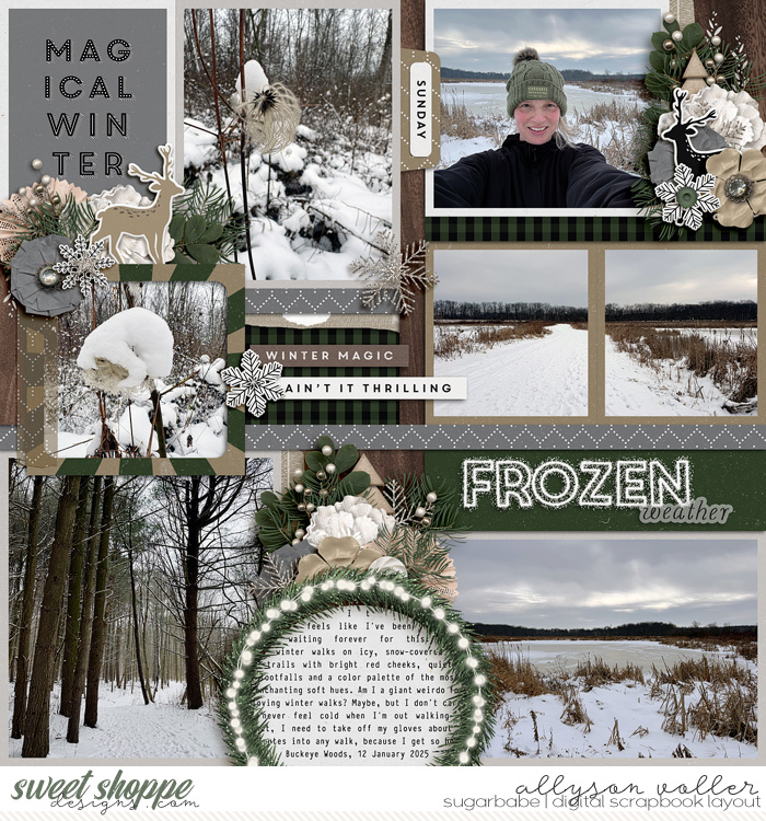 Frozen weather