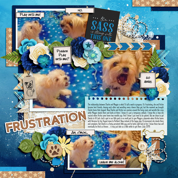 Frustration