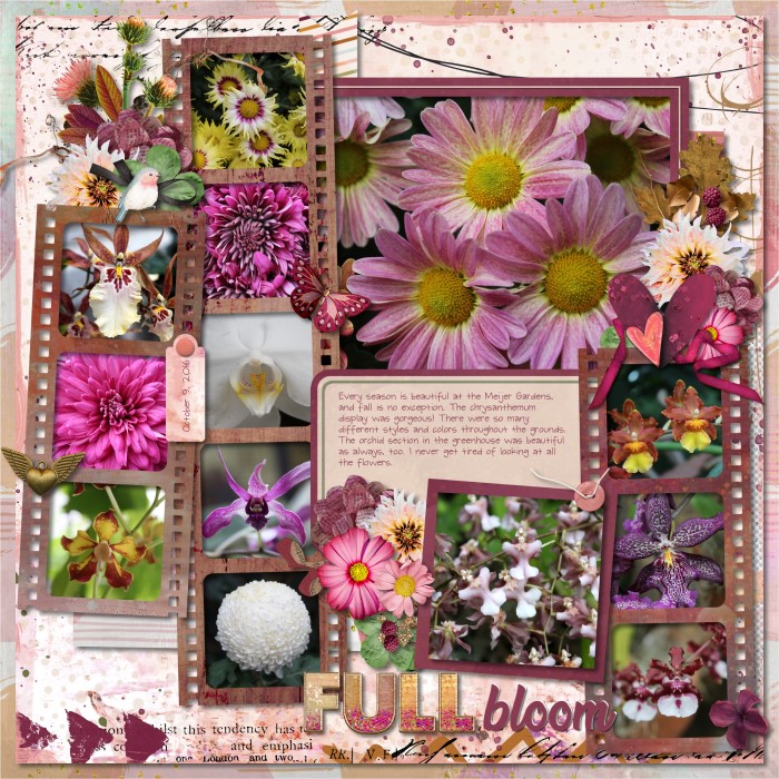 Full bloom