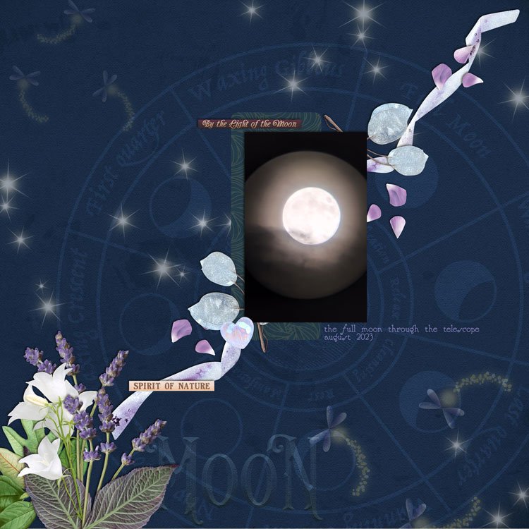 Full Moon- August 2023