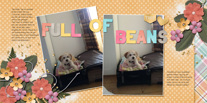 full of beans