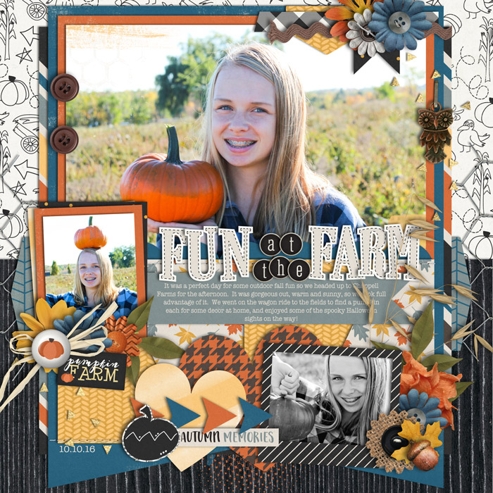 Fun at the Farm