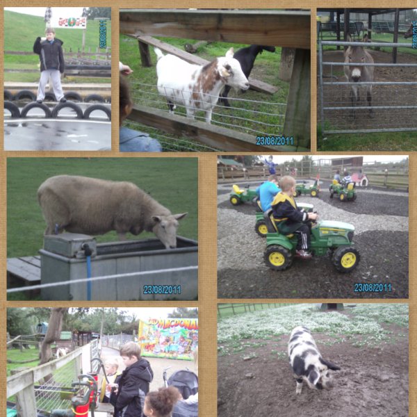 Fun down on the farm