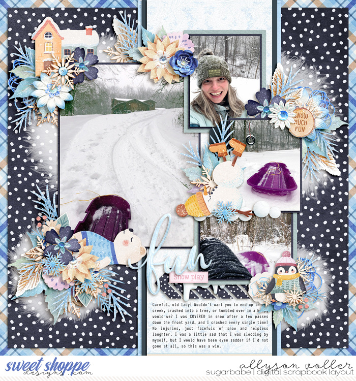 Fun Snow Play