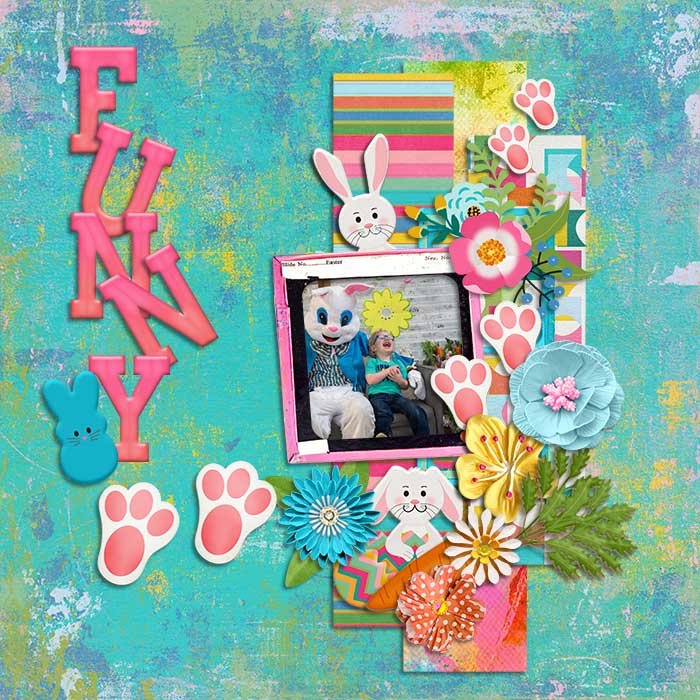 Funny Bunny
