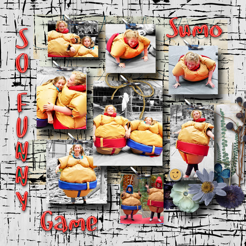Funny  game