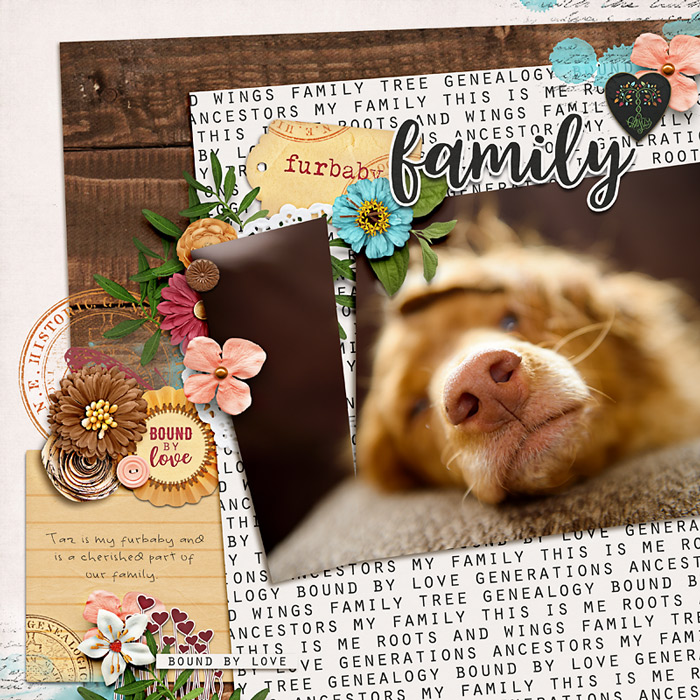 Furbaby Family