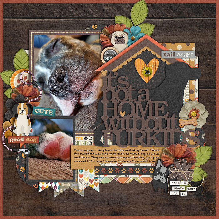Furkids