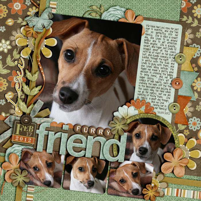 Furry Friend