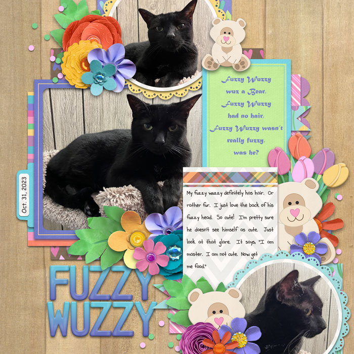 Fuzzy Wuzzy