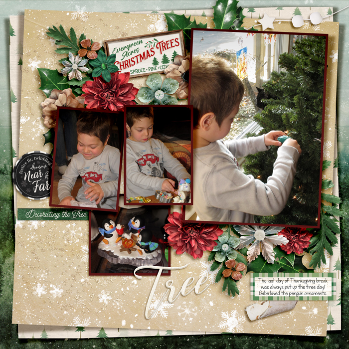 Gabe's ornaments on the tree
