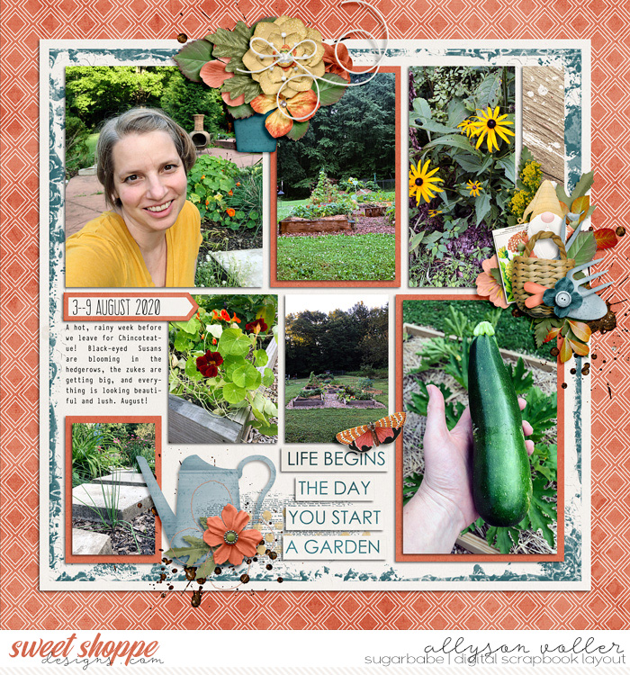 Garden journal August 3-9