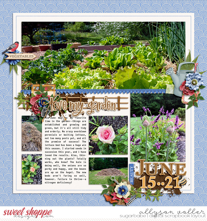 Garden journal June 15-21 01