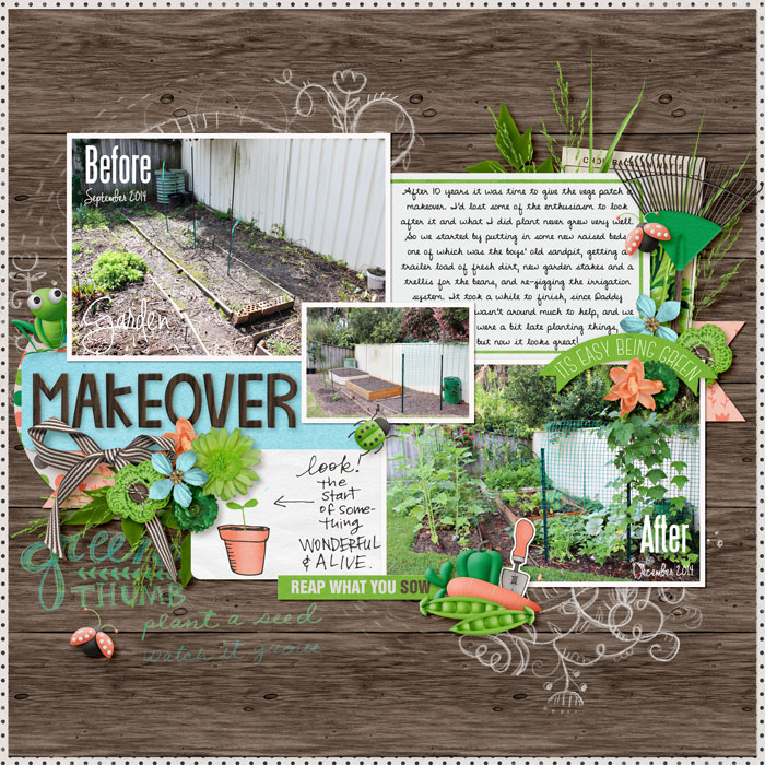 Garden Makeover