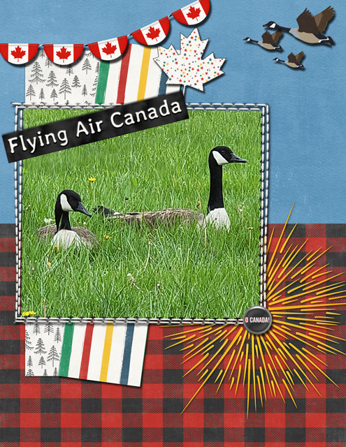 Geese in the Grass