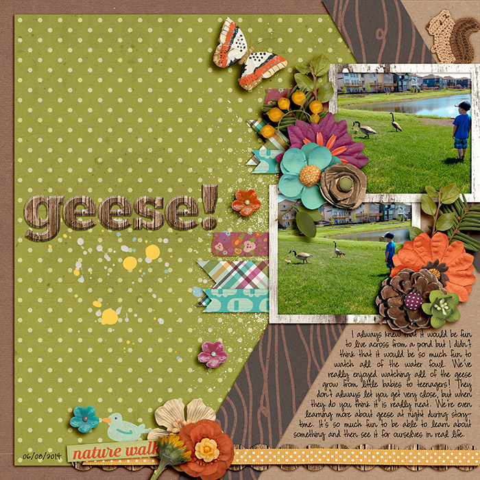 geese