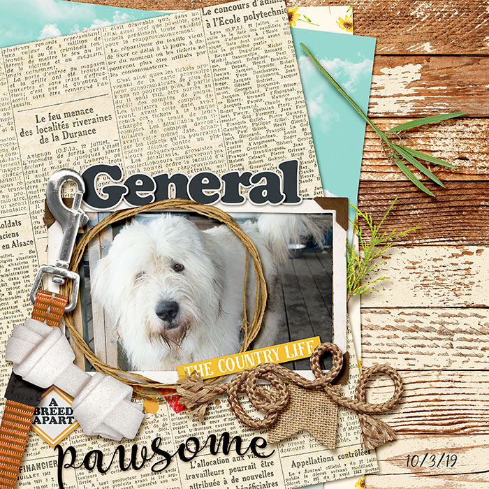 General