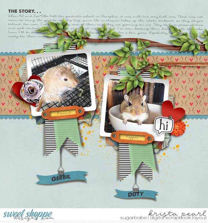 Gerbil Duty