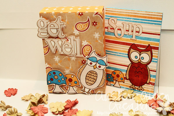 Get Well Gift