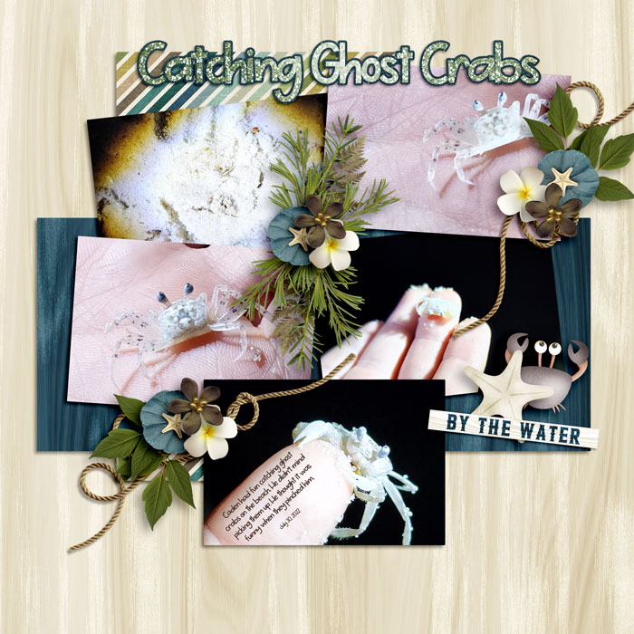 Ghost Crabs 0722