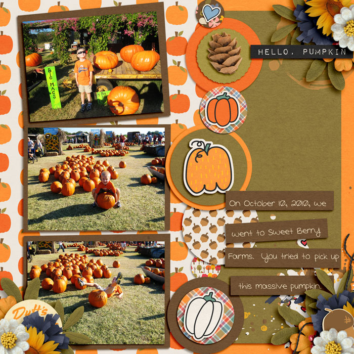 Giant Pumpkin 2010