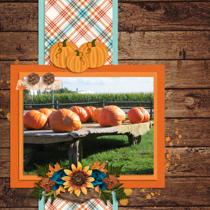 Gigantic Pumpkins