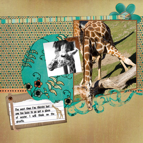 Giraffe Drinking