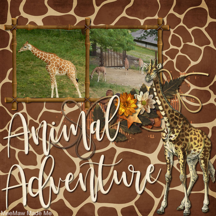 Giraffes