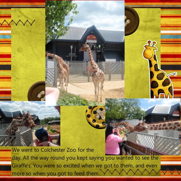 Giraffes