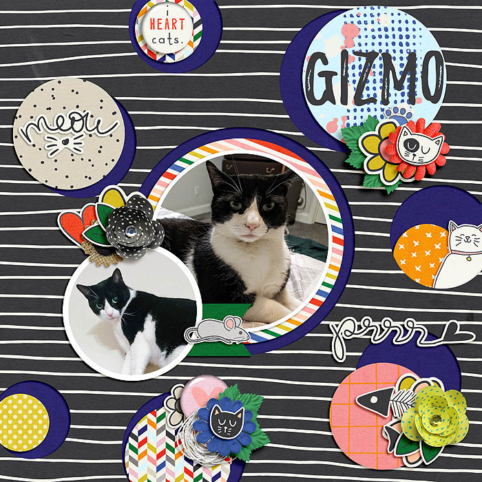 Gizmo