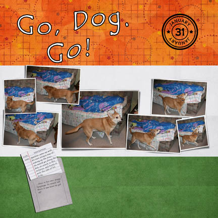 Go Dog. Go!