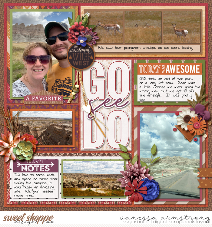 Go See Do